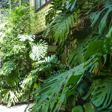 דירה Casa Palacio Morla Y Melgarejo חרז