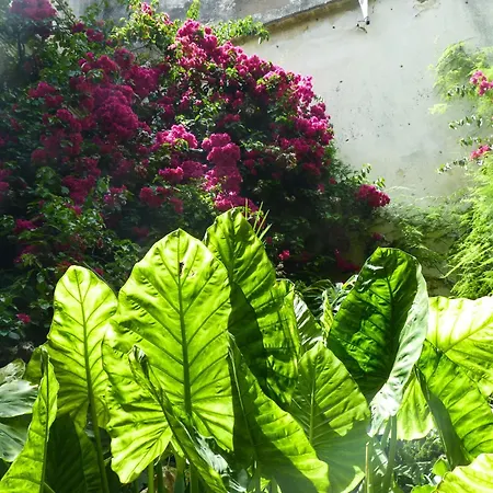 Casa Palacio Morla Y Melgarejo Daire