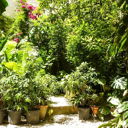 Casa Palacio Morla Y Melgarejo * Jerez de la Frontera