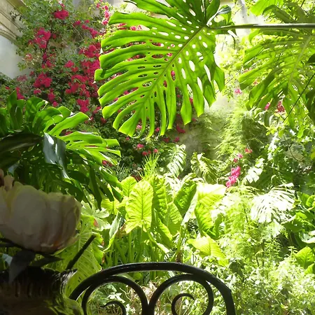 Casa Palacio Morla Y Melgarejo Апартаменты *