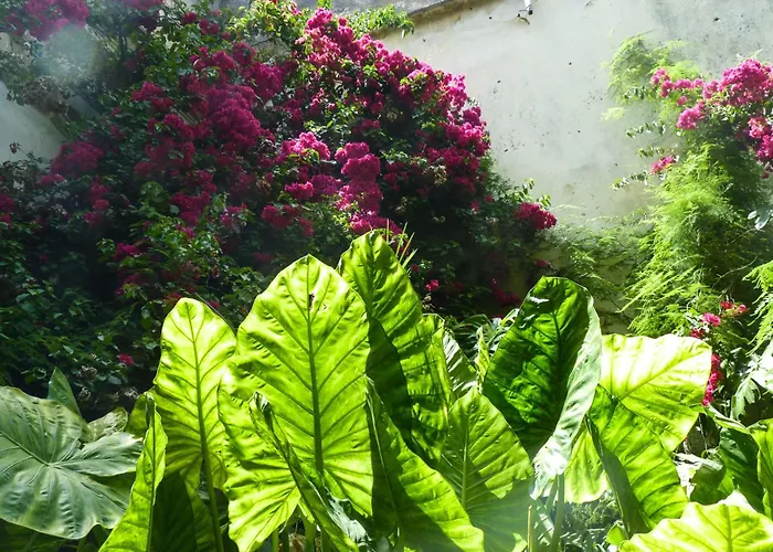 Casa Palacio Morla Y Melgarejo Daire