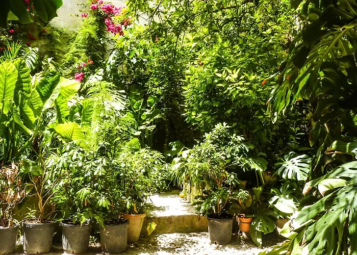 Casa Palacio Morla Y Melgarejo * Jerez de la Frontera