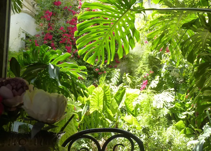 Casa Palacio Morla Y Melgarejo Апартаменты *